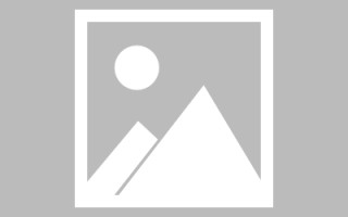 玉林网页设计英文默认字体（网页设置英文转换中文）